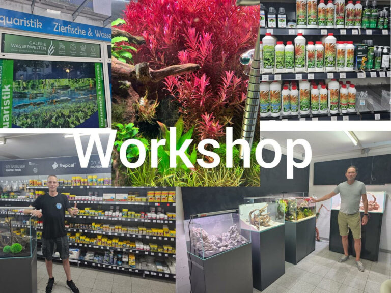 Aquaristik-Workshops 2026 bei ZierfischWelten Dorsten